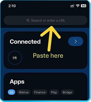 Step 3: Paste the link and hit enter